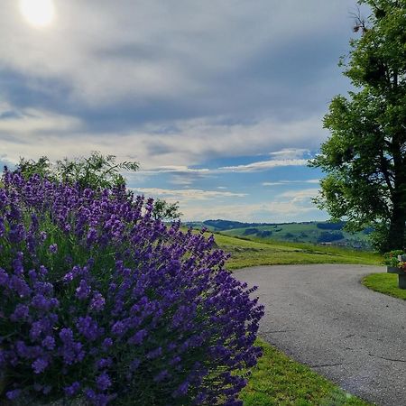 Apartmán Unterbrandlberg Steinbach an der Steyr Exteriér fotografie