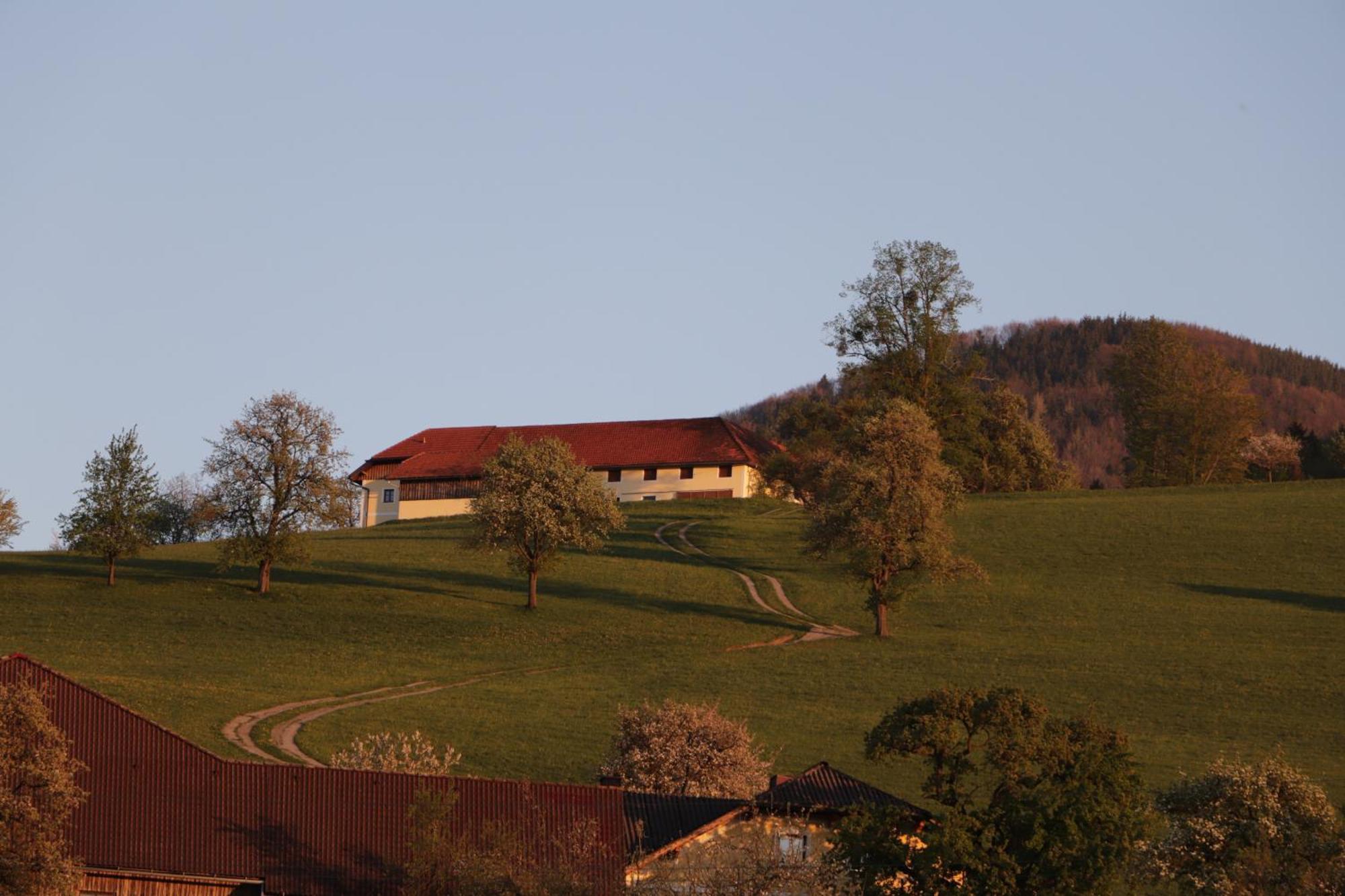 Apartmán Unterbrandlberg Steinbach an der Steyr Exteriér fotografie