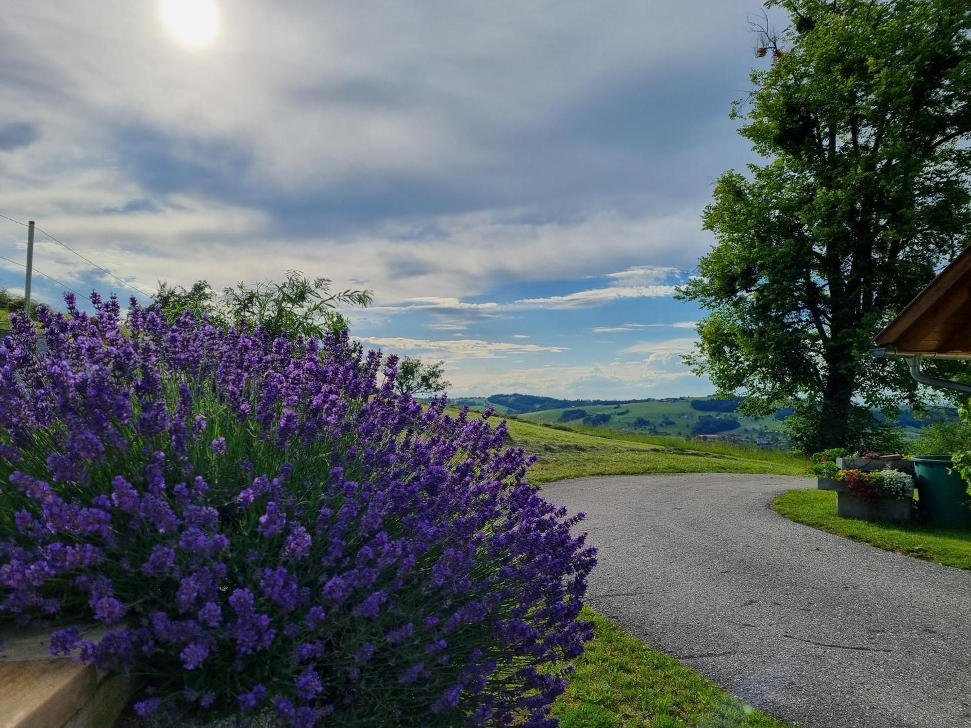 Apartmán Unterbrandlberg Steinbach an der Steyr Exteriér fotografie